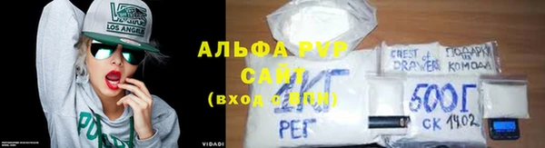 молекула духа Новодвинск