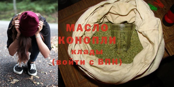 молекула духа Новодвинск