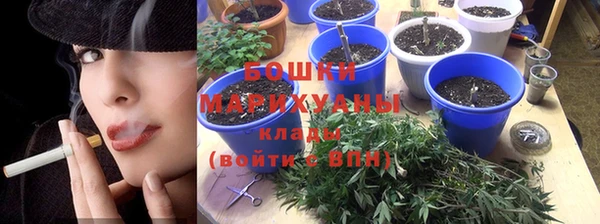 эйфоретик Новокубанск