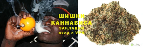 молекула духа Новодвинск