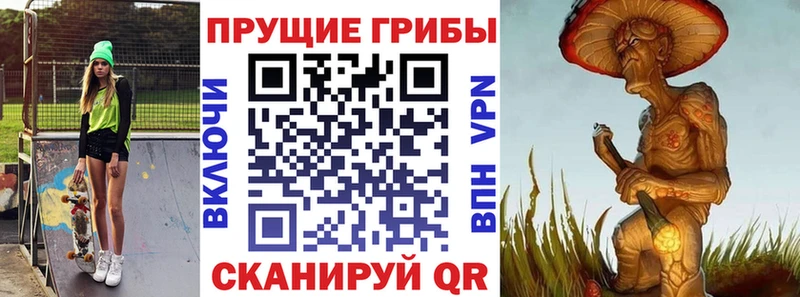 Псилоцибиновые грибы мицелий  гидра как зайти  Закаменск  наркотики 